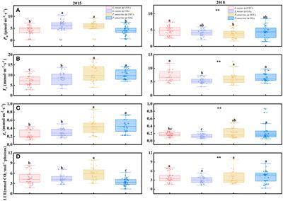 Warming affects leaf light use efficiency and functional traits in alpine plants: evidence from a 4-year in-situ field experiment